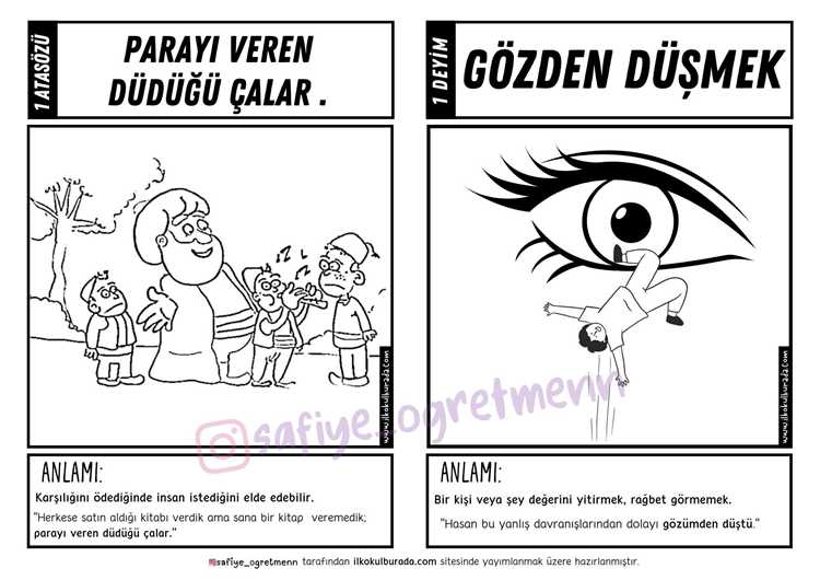 Engelli Kuşlara Yeni Bir Şans Vermek